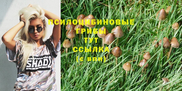 а пвп мука Балахна