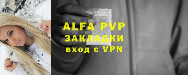 PSILOCYBIN Балабаново