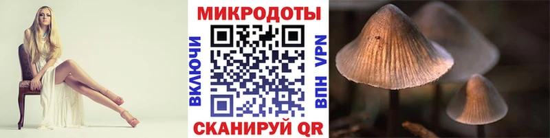 Галлюциногенные грибы Psilocybe  Шелехов 
